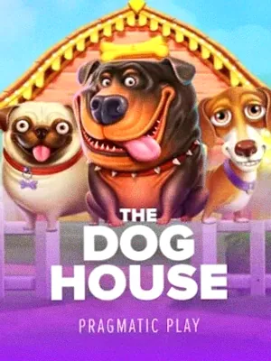 The Dog House at Voltrush